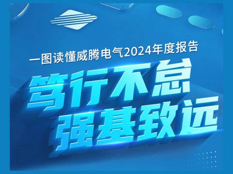 一图读懂9888拉斯维加斯官网电气2024年度报告