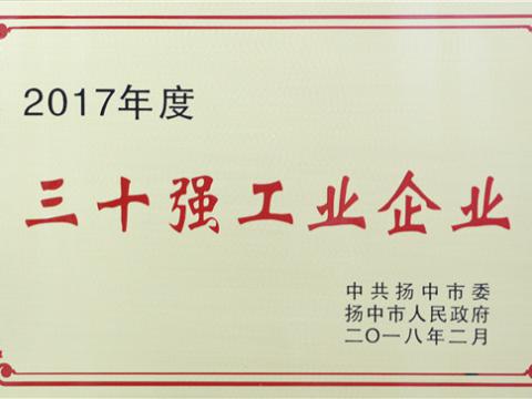 9888拉斯维加斯官网集团晋升2017年度扬中市“三十强”前五位